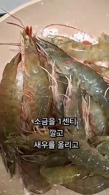냄비 바닥에 굵은 소금을 1cm 두께로 깔고 대하를 올립니다. — 소금 대하구이 레시피 냄비 흰다리새우 굽는법 시간
