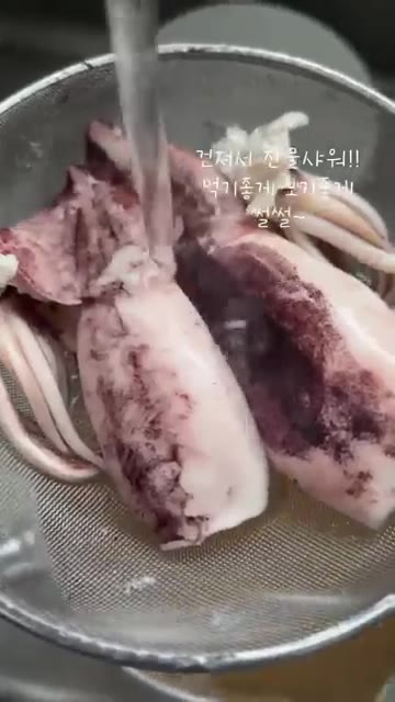 삶은 오징어를 건져 찬물에 헹궈줍니다. — 찬물에 오징어 데쳐 부드럽게 통오징어 숙회 만들기