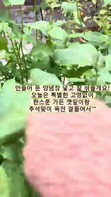준비된 양념장에 면을 넣고 잘 버무린다. — 한스푼 비빔국수 (육전 토핑)