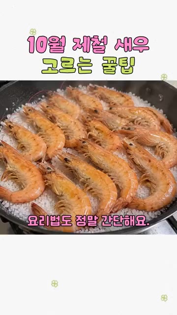 가을 제철 새우를 고를 때는 이름부터 확인하고, 국산 흰다리새우인지… — 10월 제철 새우 고르는 꿀팁