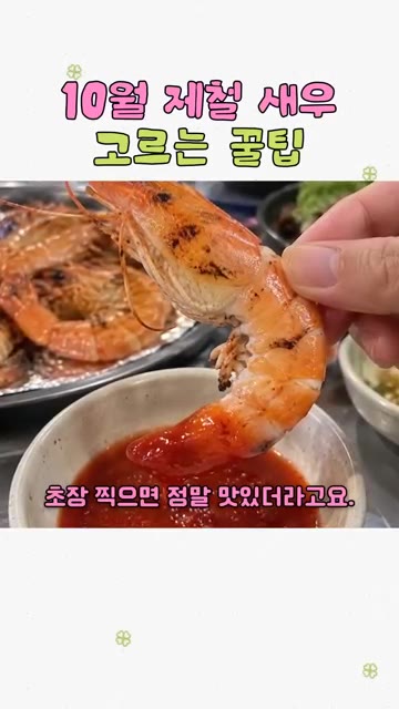 신안에서 자란 제철 새우는 1kg 양도 정말 넉넉합니다. — 10월 제철 새우 고르는 꿀팁