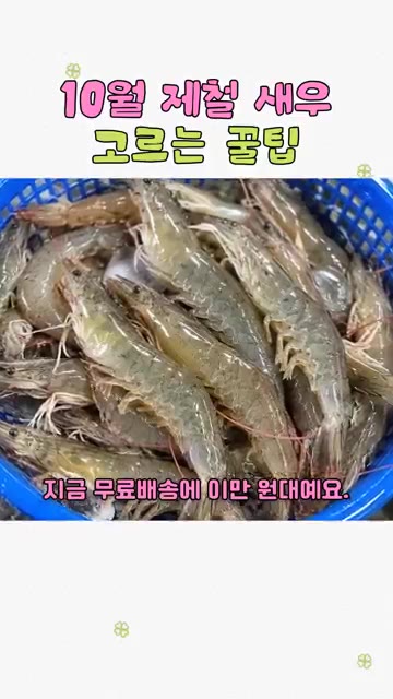 요리법도 정말 간단해요. 팬에 굵은 소금을 깔고 새우만 올리면 끝입니다. — 10월 제철 새우 고르는 꿀팁