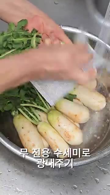 절여진 초롱무를 깨끗한 물에 헹궈 물기를 짜줍니다. 잎 부분은 수세… — 아삭시원~! 초롱무김치 이렇게 담그면 순삭! 밥도둑!
