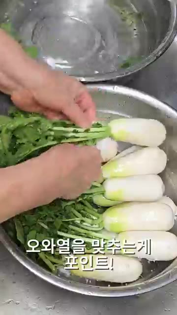 초롱무를 먹기 좋은 크기로 썰어줍니다. 잎 부분도 마찬가지로 썰어줍니다. — 아삭시원~! 초롱무김치 이렇게 담그면 순삭! 밥도둑!