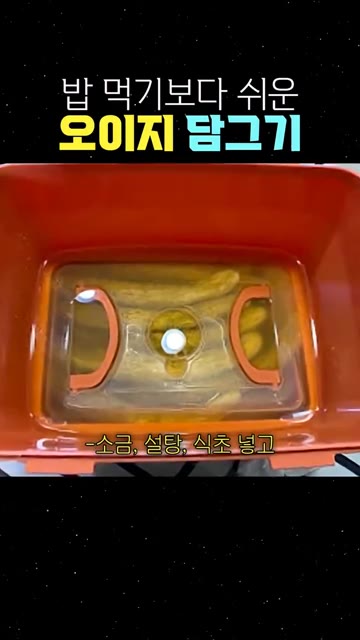 오이 스물다섯 개에 큰 컵으로 1:1:1 비율로 소금, 설탕, 식초… — 밥 먹기보다 쉬운 오이지 담그기