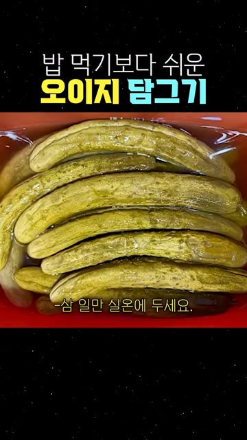누름판으로 꾹 눌러서 삼일만 실온에 두세요. 노랗게 잘 삭아 국물이… — 밥 먹기보다 쉬운 오이지 담그기