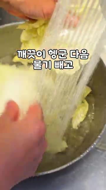 알배추 밑동을 자르고 잎을 한 장씩 분리한 뒤 깨끗이 헹궈 물기를 뺀다. — 정호영 알배추 겉절이 레시피