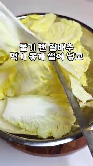 물기 뺀 알배추를 먹기 좋게 썰어 양념장에 넣는다. — 정호영 알배추 겉절이 레시피