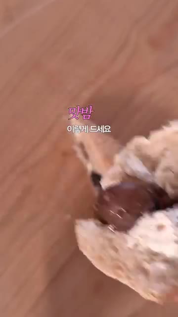 바게트를 반으로 가른 후 크림치즈를 펴 바른다. — 밤 크림치즈 바게트 샌드위치