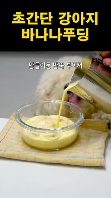 바나나 1개를 슬라이스한다. 그릇에 바나나 슬라이스를 깔고 만들어둔… — 초간단 강아지 바나나 푸딩 만들기
