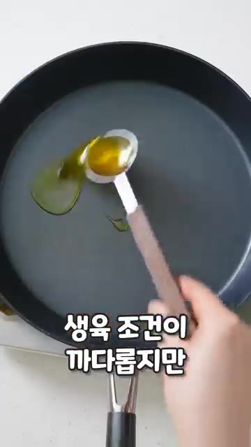 팬에 들기름과 식용유를 1:1 비율로 두르고 중약불로 달궈줍니다. — 고기만큼 맛있는 참송이버섯전 레시피