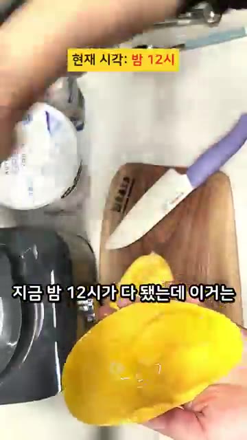 망고를 껍질째 숟가락으로 긁어 과육을 최대한 발라낸다. — 밤 12시에 졸면서 만든 푸딩의 결과 #치아시드푸딩 #현실레시피