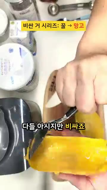 망고 과육을 믹서기에 넣고 코코넛 밀크와 그릭 요거트를 부어준다. — 밤 12시에 졸면서 만든 푸딩의 결과 #치아시드푸딩 #현실레시피