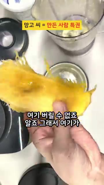 믹서기 통에 남은 망고를 긁어 넣는다. 망고는 버릴 수 없다. — 밤 12시에 졸면서 만든 푸딩의 결과 #치아시드푸딩 #현실레시피