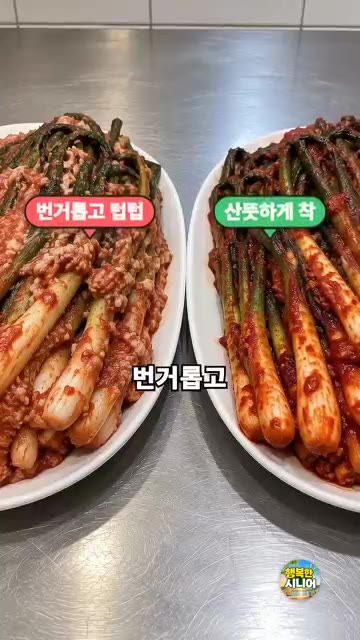 쪽파는 다듬어 씻은 뒤 물기를 빼주세요. — 파김치 찹쌀풀 쑤지 마세요! 간단하고 산뜻한 시니어 건강 반찬 요리