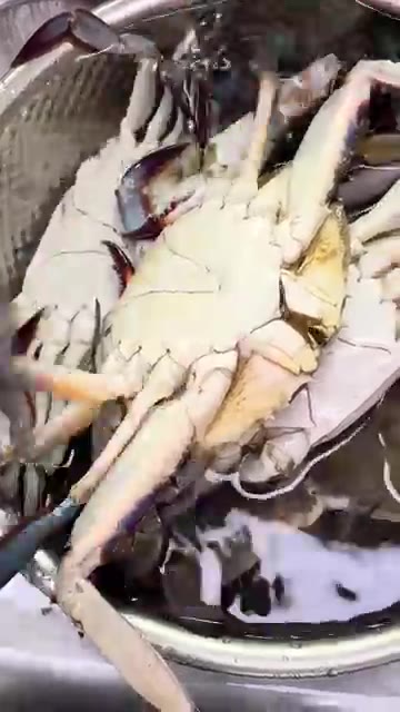 꽃게를 깨끗하게 씻어 준비한다. — How to Steam Blue Crabs
