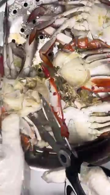 꽃게가 완전히 익을 때까지 10-15분 정도 찐다. — How to Steam Blue Crabs