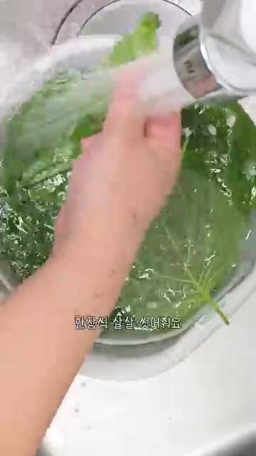 깻잎의 꼭지를 조금만 잘라내고 한 장씩 살살 씻어 물기를 뺍니다. — 깻잎 양념장 레시피, 바로 먹어도 맛있는 깻잎김치 만드는법