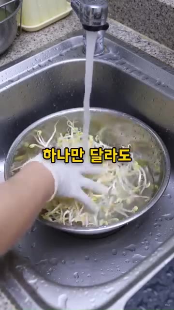 냄비에 물을 넉넉히 넣고 팔팔 끓입니다. 물이 끓으면 식용유 0.5… — 콩나물 삶을 때 절대 소금 넣지 마세요