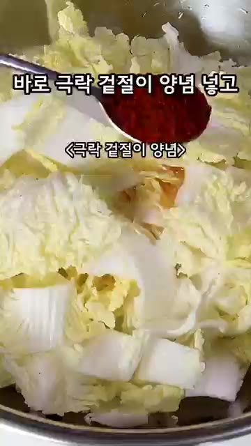 물기를 뺀 알배추에 맛소금, 매실청, 액젓, 고춧가루, 다진 마늘,… — 1500원으로 만드는 5분 컷 극락 겉절이!