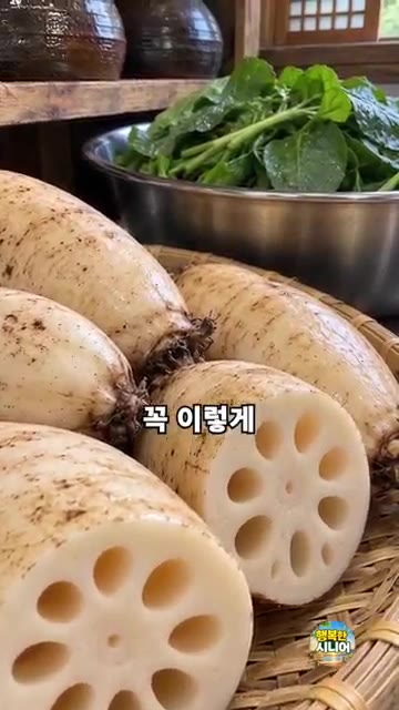 간 연근에 전분과 소금만 넣고 물 없이 섞어 반죽을 만듭니다. 잘게… — 겉은 쫀득하고 속은 아삭한 연근전 부치는 법