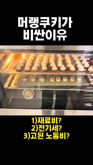 반죽을 짤주머니에 담아 오븐 팬에 짜서 올린다. — 머랭 쿠키가 비싼 이유