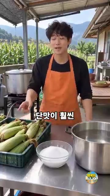 냄비에 옥수수가 잠길 만큼 물을 붓고 굵은소금 2숟가락과 감미료 반… — 옥수수 설탕만 넣고 삶지 마세요! 달고 쫀득한 옥수수 삶는 법