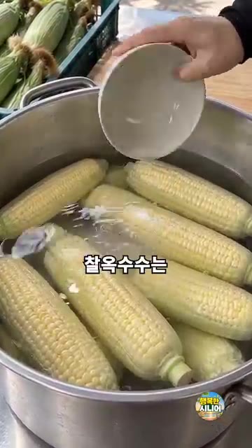 뚜껑을 덮고 30~40분 정도 삶아준 뒤 불을 끄고 잠시 뜸을 들입니다. — 옥수수 설탕만 넣고 삶지 마세요! 달고 쫀득한 옥수수 삶는 법