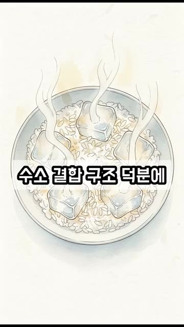 그 비법은 바로 각얼음 한 조각입니다. 얼음의 단단한 수소 결합 구… — 냉동밥 데울 때 퍽퍽하다면? 얼음 한 조각으로 촉촉하게 데우는 비법