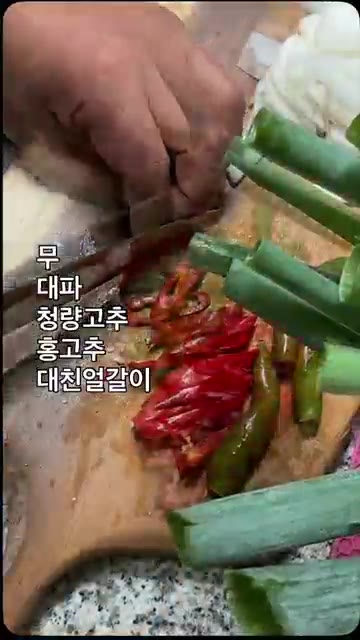 무, 대파, 청양고추, 홍고추, 얼갈이를 썰어 준비합니다. — 바다장어탕 만들기
