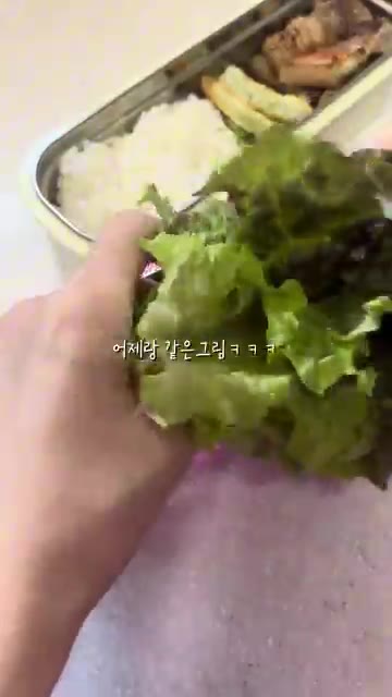 다른 도시락 통에 상추를 깔아준다. — 프리랜서 떠시락🍡 도시락 만들기