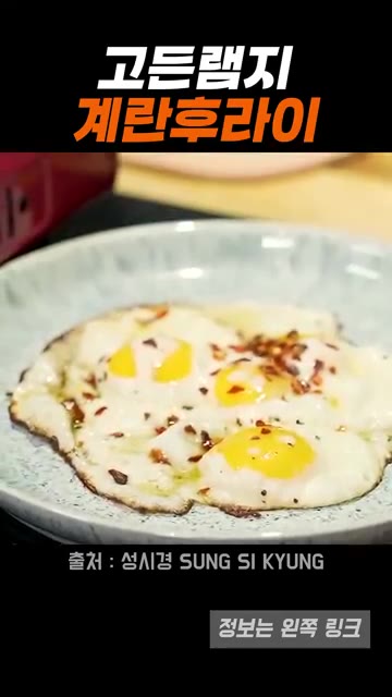 계란이 다 익으면 접시에 옮겨 담습니다. — 고든램지식 계란후라이