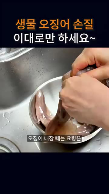아까 사온 생물 오징어이고 손질이 안 된 상태예요. — 생물 오징어 손질, 이대로만 하세요~