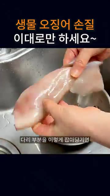 오징어 내장을 빼는 요령은 오징어 안쪽에 뼈가 붙어 있는 부분이 있어요. — 생물 오징어 손질, 이대로만 하세요~