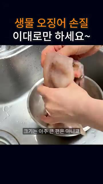 그 부분을 떼어내면서 다리 부분을 이렇게 잡아당기면 오징어 내장이… — 생물 오징어 손질, 이대로만 하세요~