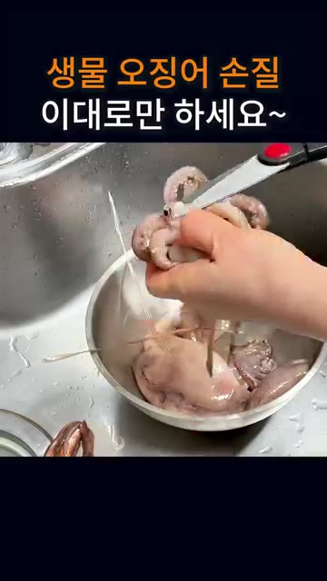 오징어 크기는 아주 큰 편은 아니고 중간 크기 정도예요. — 생물 오징어 손질, 이대로만 하세요~