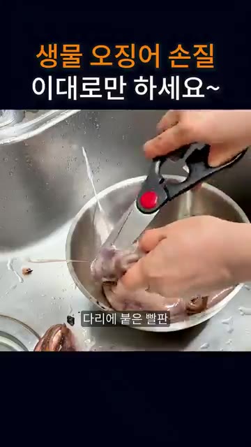 다리 부분도 눈하고 입 부분을 가위로 제거해 주고 다리에 붙은 빨판… — 생물 오징어 손질, 이대로만 하세요~