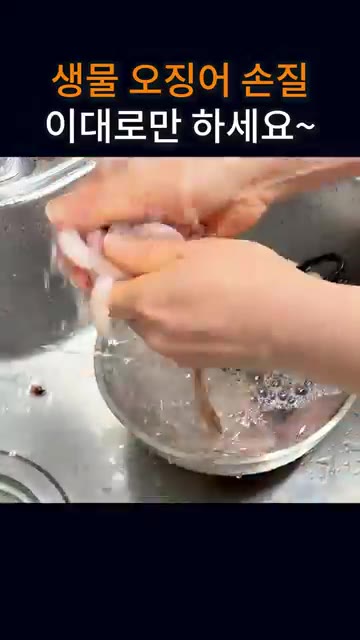 물에 깨끗이 씻어주면 돼요. 생각보다 간단해요. — 생물 오징어 손질, 이대로만 하세요~