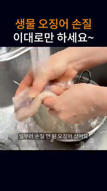 동글동글하게 잘라서 하고 싶어서 일부러 손질 안 된 오징어 샀어요.… — 생물 오징어 손질, 이대로만 하세요~