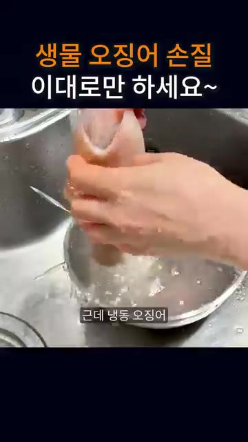 근데 냉동 오징어 해동해서 해도 상관없어요. — 생물 오징어 손질, 이대로만 하세요~
