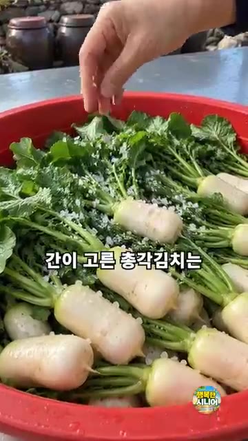 무 쪽에 남은 소금을 켜켜이 뿌리고 약 1시간 후에 위아래를 뒤집어… — 총각김치 소금만 뿌리고 두지 마세요! 아삭한 시니어 김장 요리