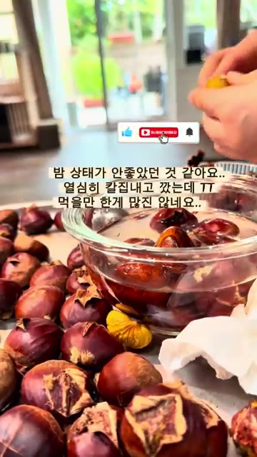 밤 상태가 좋지 않아 먹을 만한 것이 많지 않네요. — 원스푼 밤 구운날 (Homemade Roasted Chestnuts)