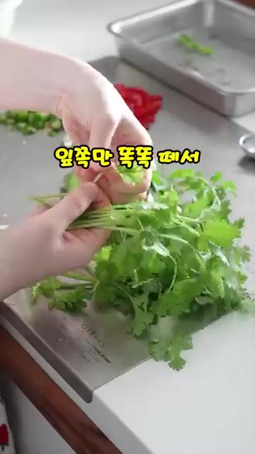 그릇에 숙주를 듬뿍 담고 준비한 쌀국수 면을 올린다. — 집에서 라면처럼 쉽게 🍜꼼수 쌀국수 만들기