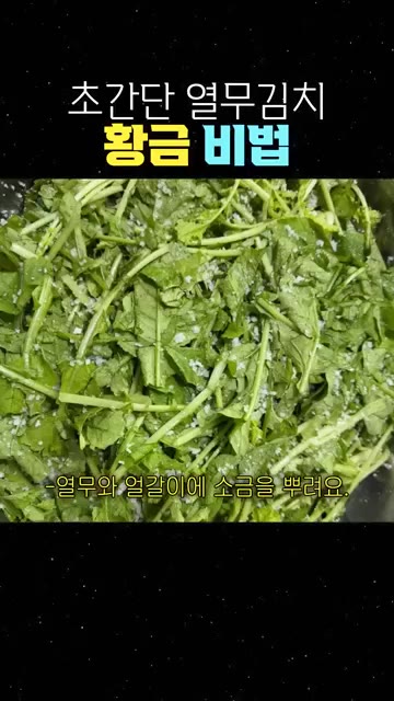 열무와 얼갈이에 소금을 뿌려 중간에 한 번 뒤집어 준다. — 초간단 열무김치 황금 비법