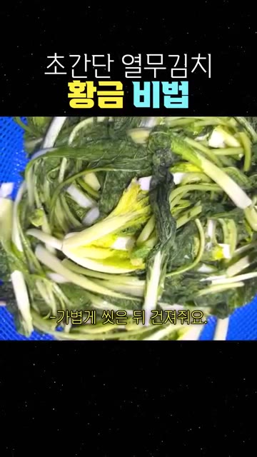 가볍게 씻은 뒤 물기를 적당히 빼준다. — 초간단 열무김치 황금 비법