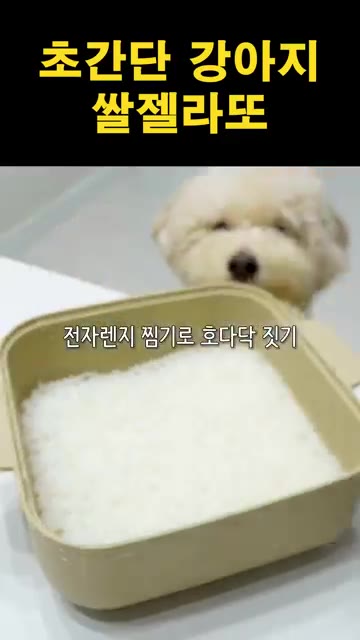 밥에 락토프리 우유를 붓고 잘 섞어줍니다. (진밥 사용 권장, 일반… — 초간단 강아지 쌀젤라또 만들기