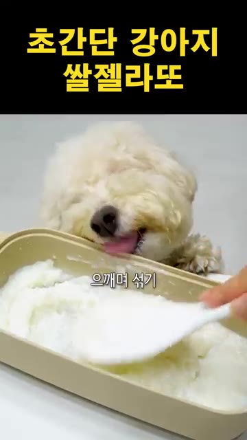 꺼낸 뒤 으깨가며 잘 섞어줍니다. — 초간단 강아지 쌀젤라또 만들기