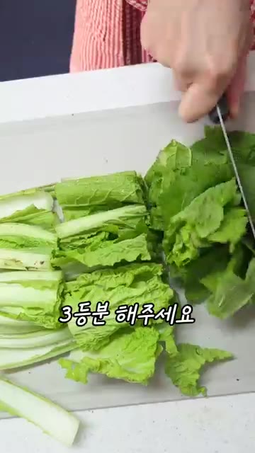 얼갈이배추를 3등분 해주세요. — 10분컷 초간단 밥도둑 얼갈이겉절이