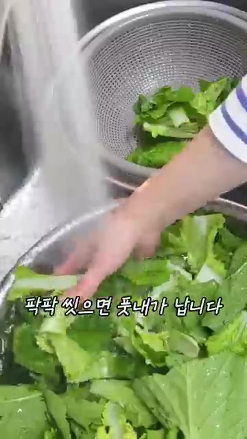 아기 다루듯 살살 씻어주세요. 팍팍 씻으면 풋내가 날 수 있습니다. — 10분컷 초간단 밥도둑 얼갈이겉절이