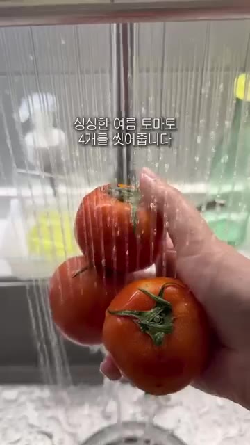 깨끗하게 씻은 토마토 4개를 썰어 예열된 냄비에 간마늘 1스푼을 넣… — 토마토훠궈 레시피